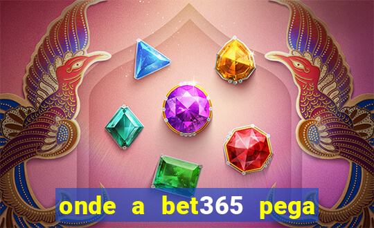 onde a bet365 pega as estatisticas